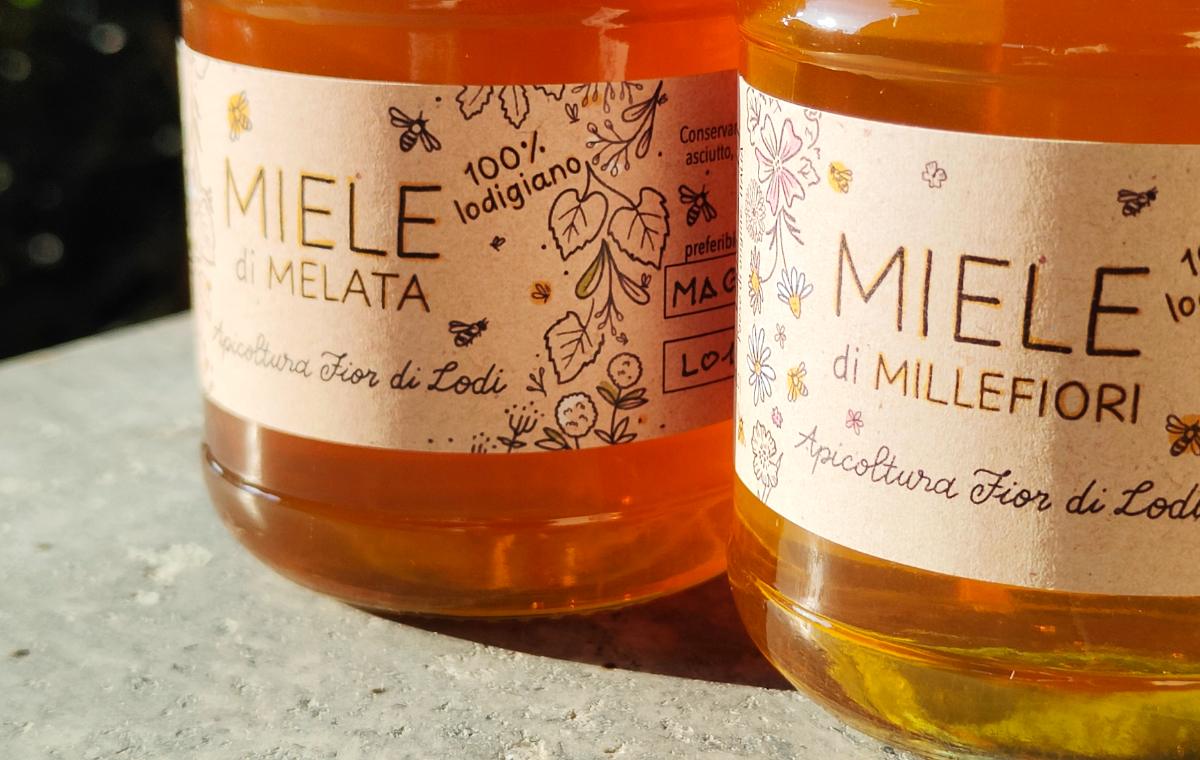 Illustrated label design for natural artisanal honey, featuring hand-drawn botanical elements inspired by the Lodigiano countryside